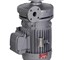 Apollo - Westate Pumps | MT201