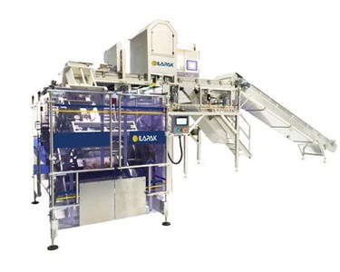 Counting System Vision 2000