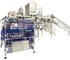 Counting System Vision 2000