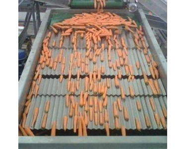 Vibrating Piece Remover | Wyma Solutions
