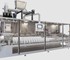 Bag Packaging Machine FA 217