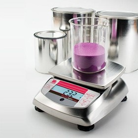 Compact, Rugged SS Laboratory Scale, Valor 3000, V31XW301, 300g x 0.1g