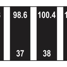 Temperature Strips