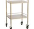 TRIBUTE - Stainless Steel Equipment Dressing Trolley- 2 Shelf with Rails 