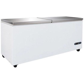 Chest Freezer with S/S Lid – BD768F