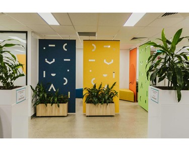 Commercial Medical Fitout with Wellness Design