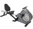 Hybrid Mag Trainer 2.0 Rower Recumbent Bike