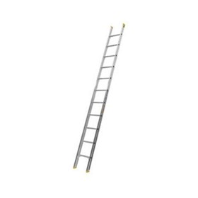 Straight Access Ladders – Bailey BMKS Professional Punchlock 10′