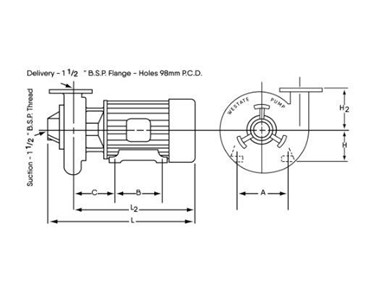 Apollo - Westate Pumps | MT303