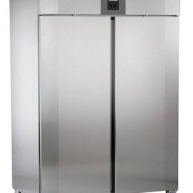 GGPv 1470 SS 2 Solid Door Commercial Freezer