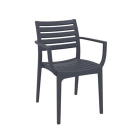 Artemis Armchairs - Plastic Chairs, Cafe