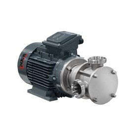 Flexible Impeller Pump