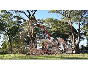 Spider Lifts 230 kg | CMC S18FR-D