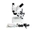 Saxon - RST Researcher Stereo Microscope 10x-40x (NM11-2000)