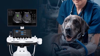 Why More Australian Vets Are Bringing Ultrasound In-House