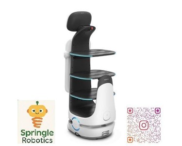 The Delivery and Promotional BOT ( Robot Waiter )