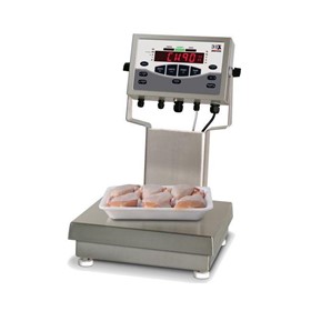 Checkweigher Bench Scale | CW-90X