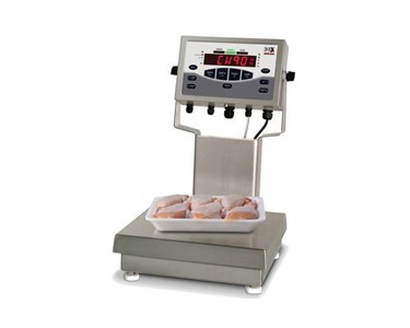 Rice Lake - Checkweigher Bench Scale | CW-90X