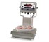 Rice Lake - Checkweigher Bench Scale | CW-90X