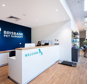 New Veterinary Facility Fitout | Brisbane Pet Surgery