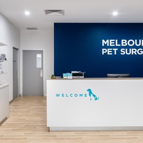 Veterinary Surgery Facility | Melbourne Pet Surgery