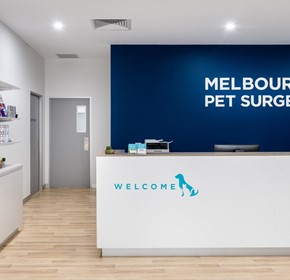 Veterinary Surgery Facility | Melbourne Pet Surgery