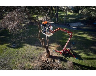 Spider Lifts 230 kg | CMC S18FR-D