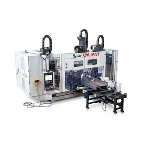 Beam Line Machine | VALIANT 2003/8 VL