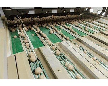 Optica S Optical Sorter