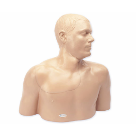 Ultrasound Training Model - Central Venous Access Head Neck Model