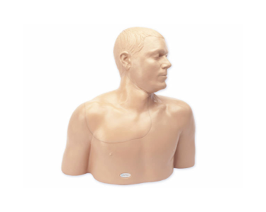 Ultrasound Training Model - Central Venous Access Head Neck Model