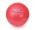 Exercise Balls | Gym, Swiss & Fitness Ball Range