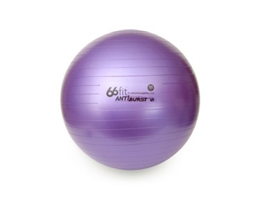 Exercise Balls | Gym, Swiss & Fitness Ball Range