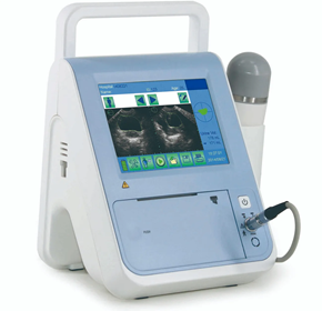 Bladder Scanner