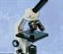 Binocular, Stereo & Compound Microscopes