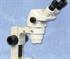 Zoom Stereo Microscopes