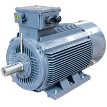 3-Phase Electric Motor