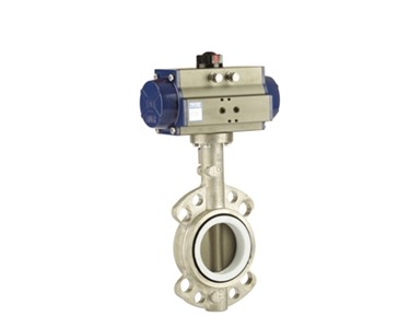 Stainless Steel Butterfly Valve - BFS