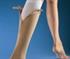 Knee-high Stockings (with Zip) | Varisan