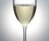 Polysafe Polycarbonate Wine Glass | 250mL