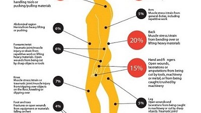 Why slip up when you can take ergonomics in action?