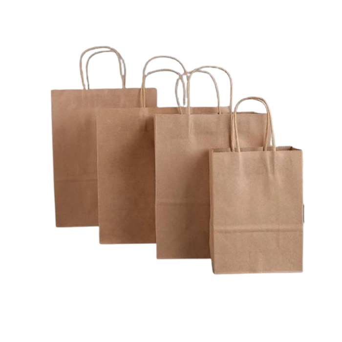 Paper Carry Bags