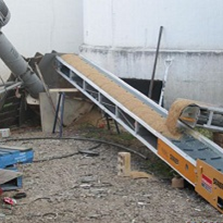 Hired conveyors remove flood damaged grain