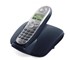 DECT (Digital Enhanced Cordless Telecommunication) 