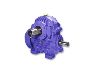 Speed Reducer | Double Enveloping Single Worm Reducer | Hedcon