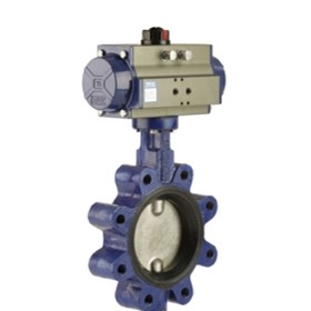 Cast Iron Lugged Butterfly Valve | Series BFL