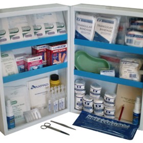 Workplace Health & Safety Kit | NO 6 Wall Cabinet