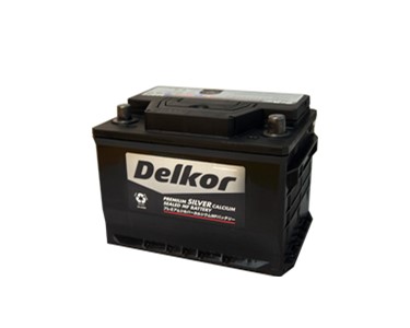 Silver Calcium Batteries | Delkor