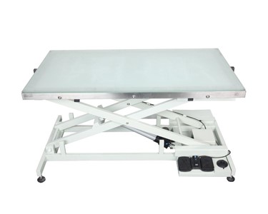 Shernbao - Electric Lift Table with LED Light