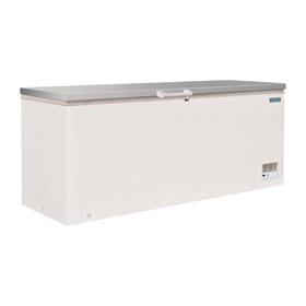Chest Freezer with Stainless Steel Lid 587L | G-Series 